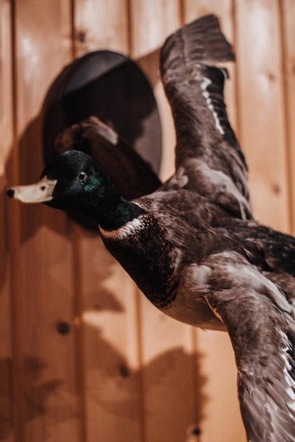 Rabbit Hotel Raiskums Zewnętrze zdjęcie